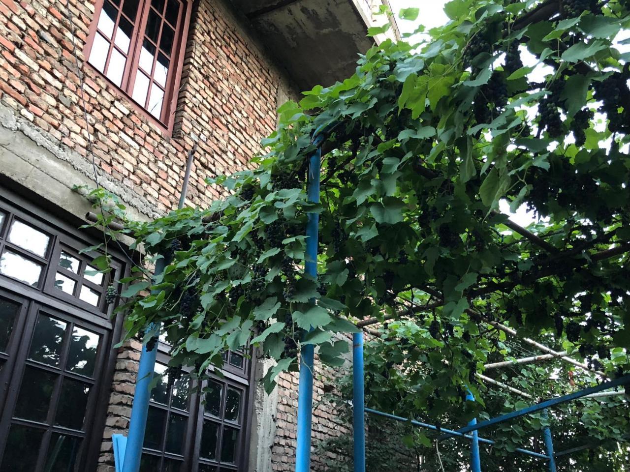 Lucky Family Hotel Tbilisi Luaran gambar
